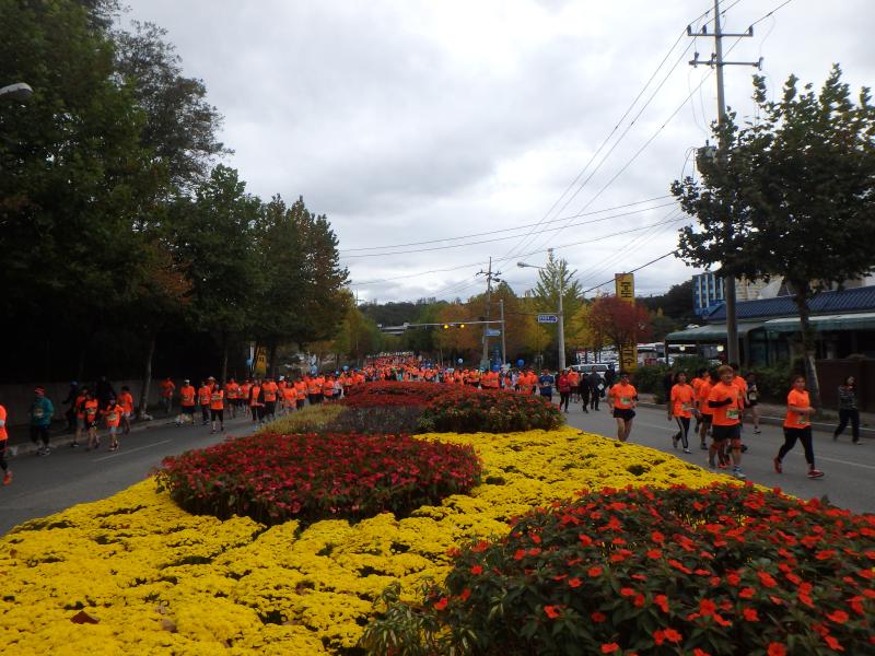 chuncheon_marathon_030