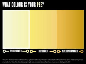 hydration_lucozade_003