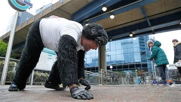 gorilla_london_marathon_001