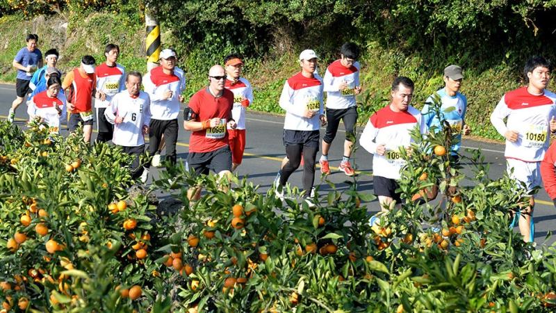 Jeju Mandarin Orange Marathon